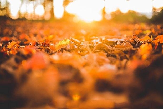 焦虑敏感心态怎么调整,孩子心理脆弱敏感怎么调整