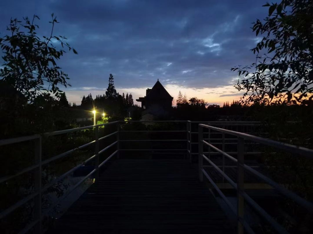 心动！那些藏在崇明民宿里的初秋小美好