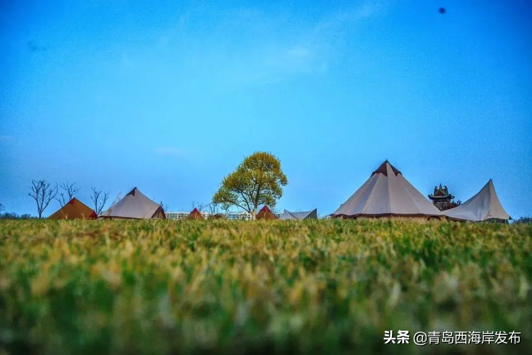 青岛森林野生动物世界等新区四家4*级A**景区免门票！（附假期游玩全攻略）