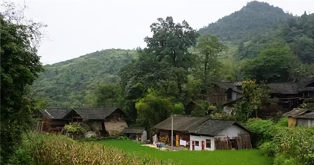 最牛专科生曹晓洁的视频,最牛专科生曹晓洁在江西哪所学校