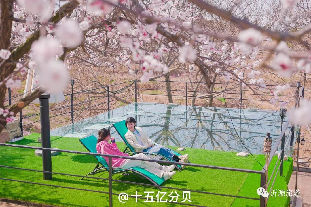 淄博春天赏花,淄博赏花时间表