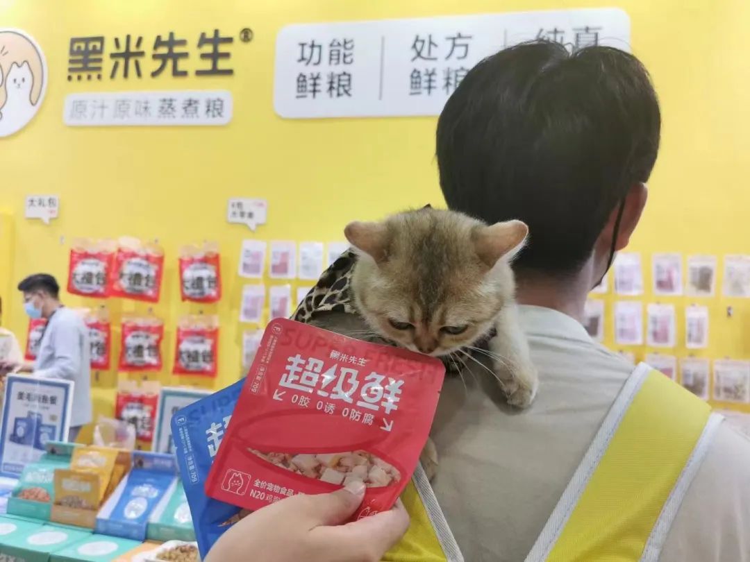 一年过去了，我们向5位做宠物食品的老板请教了这10个关键问题