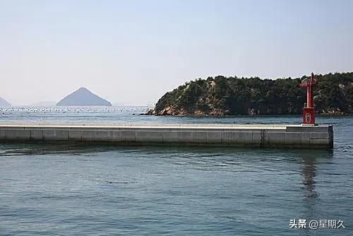 我为公司做贡献视频,我为公司做贡献的开场