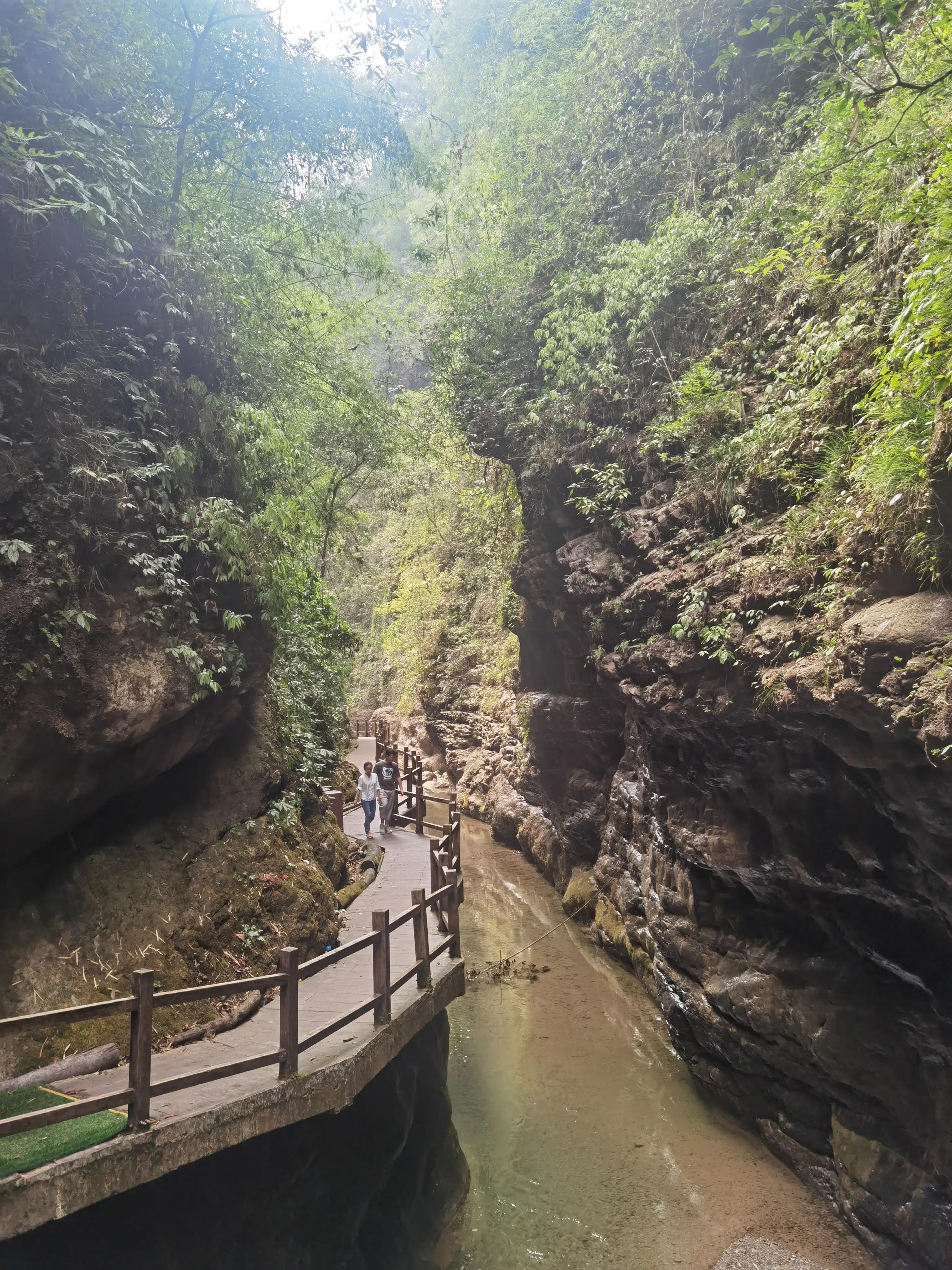 重庆到黑山谷的交通路线,重庆黑山谷旅游攻略美景图片