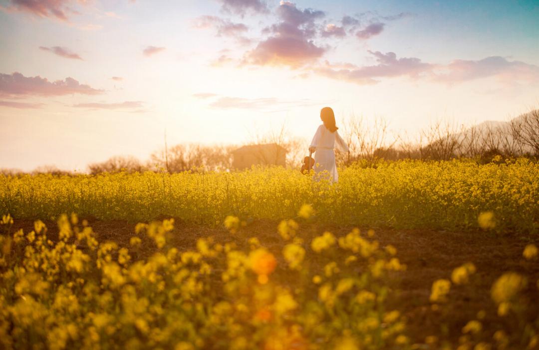 真正的高手是向下兼容,高手向下兼容