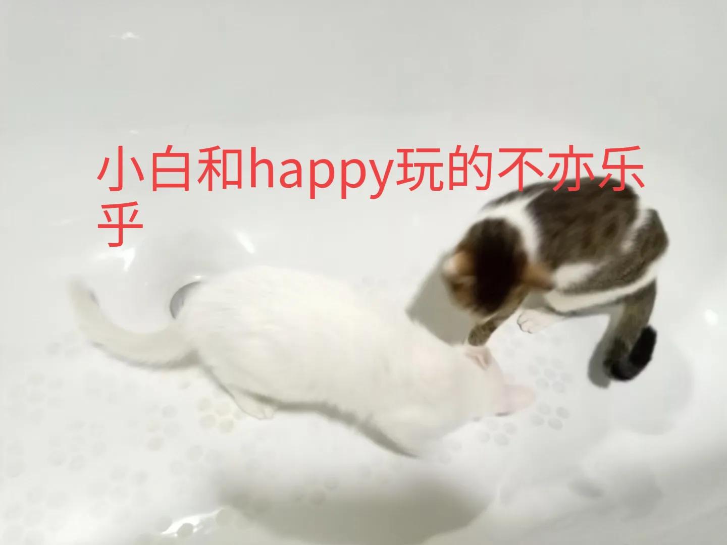 happy鎴戠殑濂冲鎻掓洸,浣爃appy鎴戜篃happy