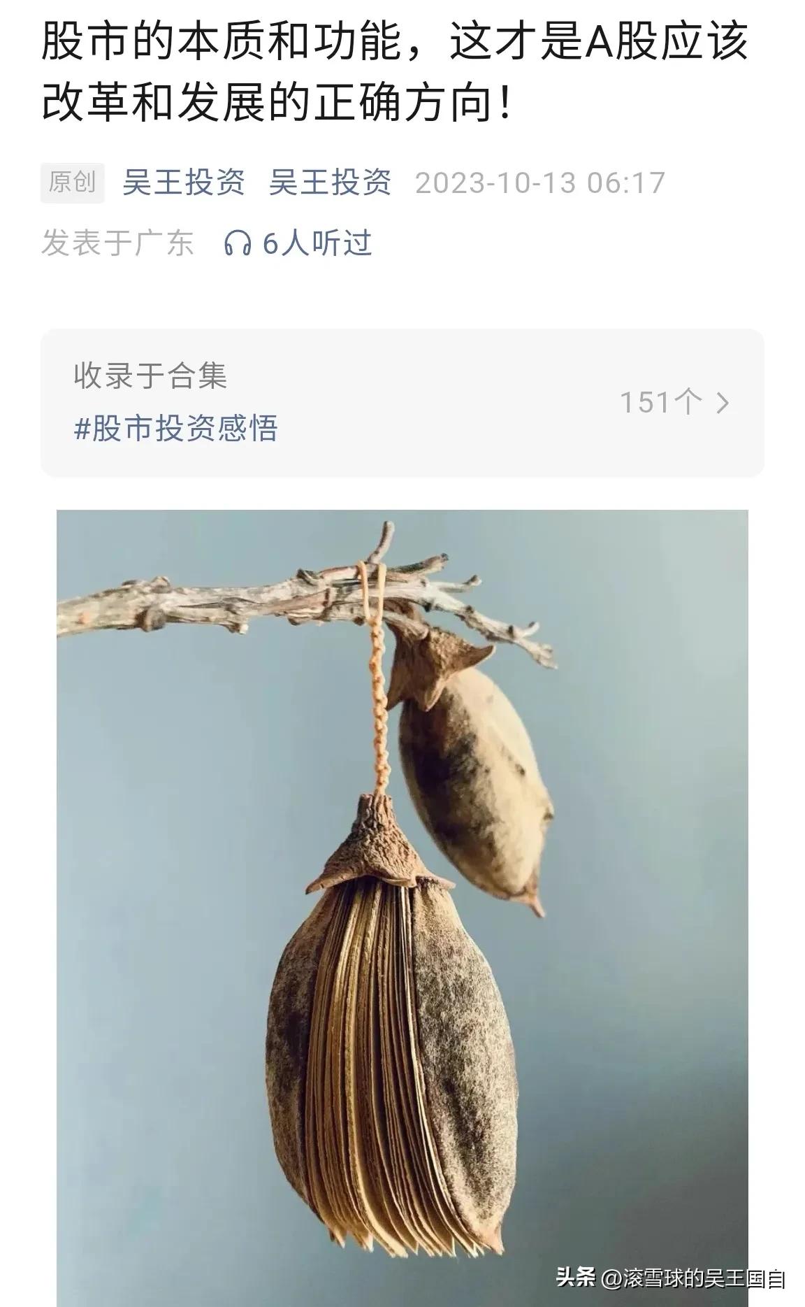 股市的本质就是投机,股市的本质和规则图