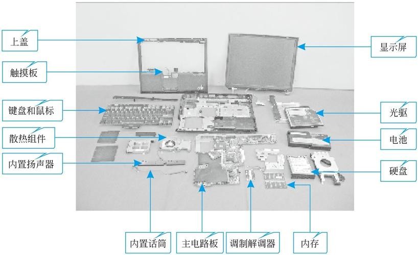 计算机发展给人类带来的变化,预测未来计算机的发展程度