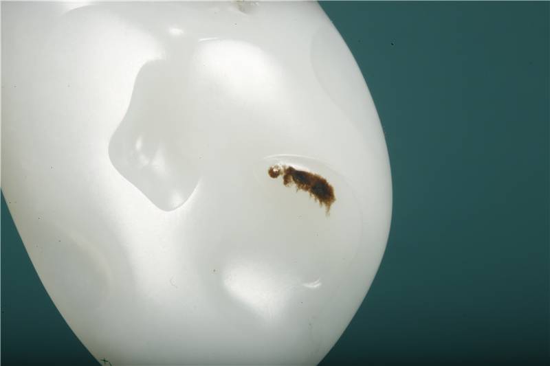 几百块钱能买到羊脂玉吗,两千块钱能买到羊脂玉吗