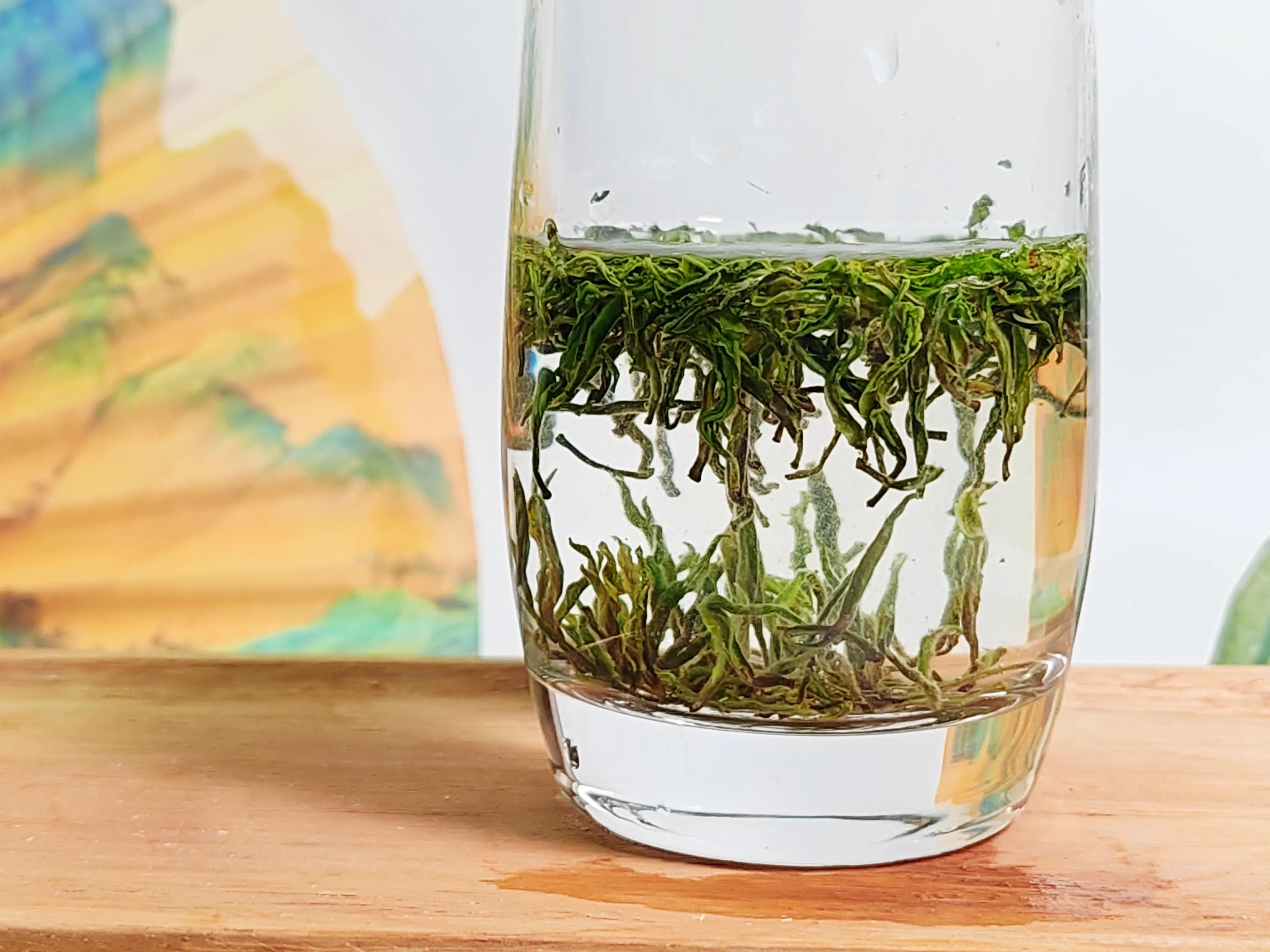 古丈毛尖大赛节目表,古阳河古丈毛尖怎么样