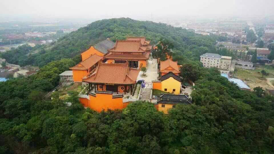 上海海湾国家森林公园在什么地方,上海国家森林公园有几个