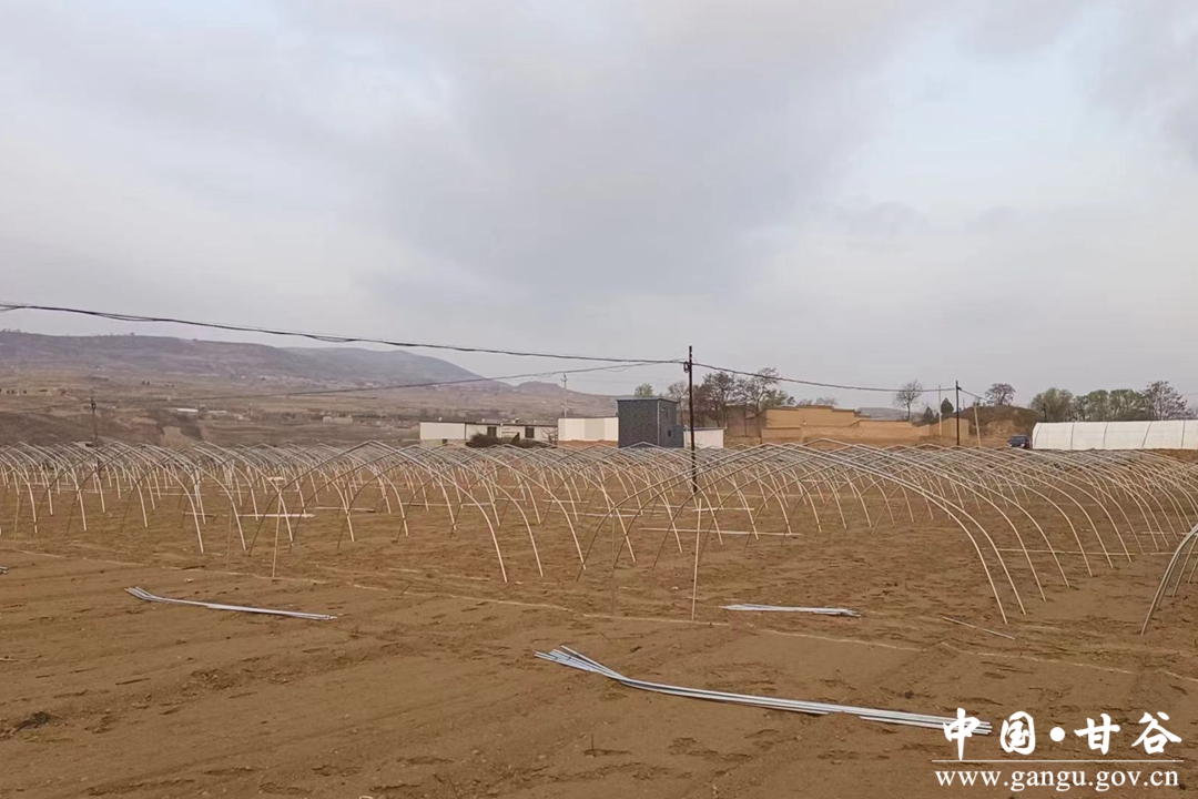 村党建引领壮大集体经济简介,党建引领壮大村集体产业经济