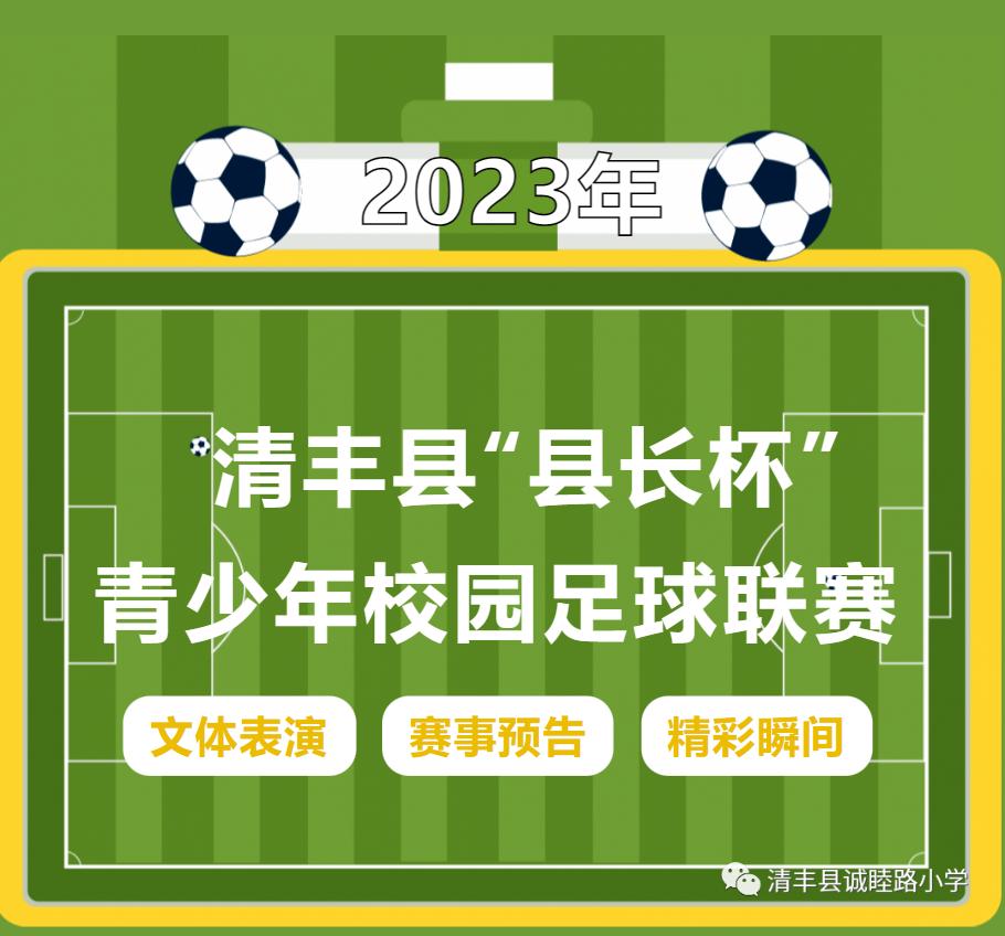 2023清丰县县长杯,2024年禄丰县青少年足球联赛