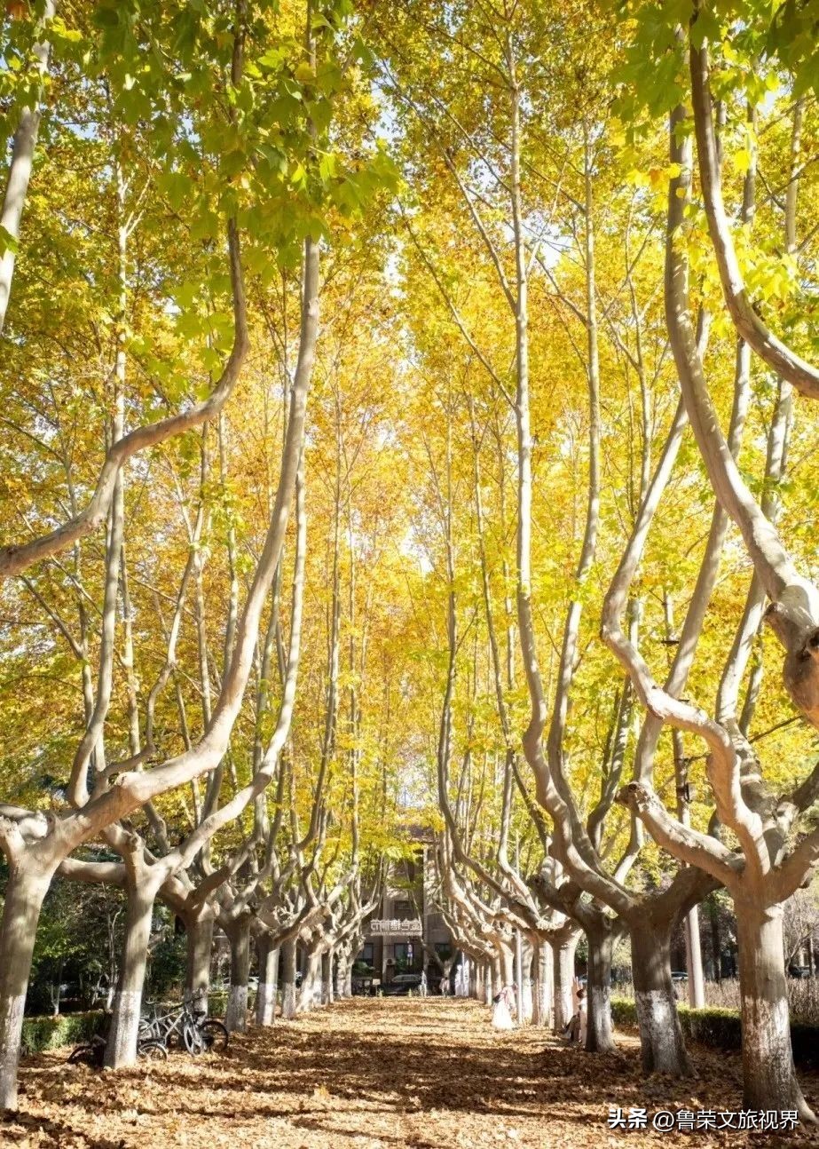 西安坐地铁旅游全攻略,西安半日游地铁