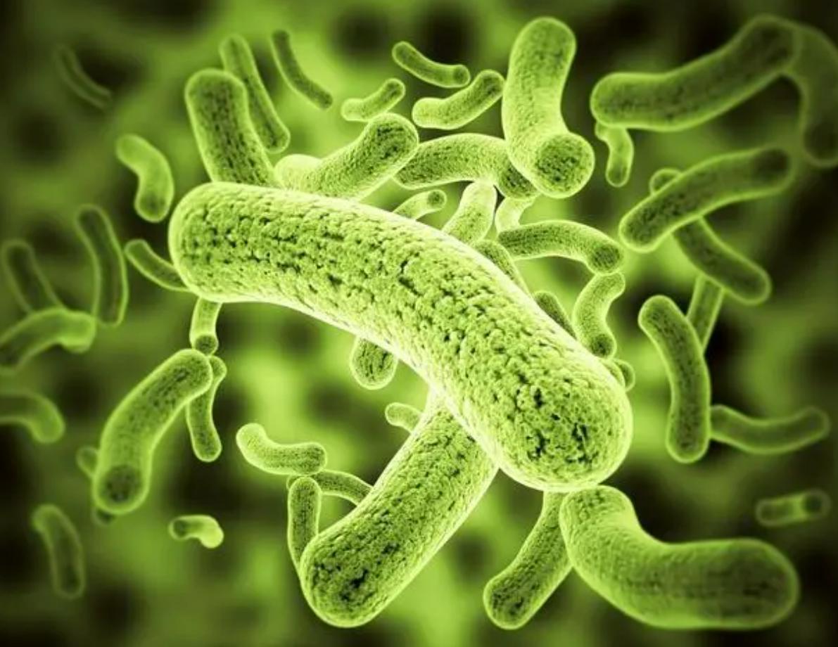 女生到底应该有什么样的状态,女孩子的状态应该是怎样