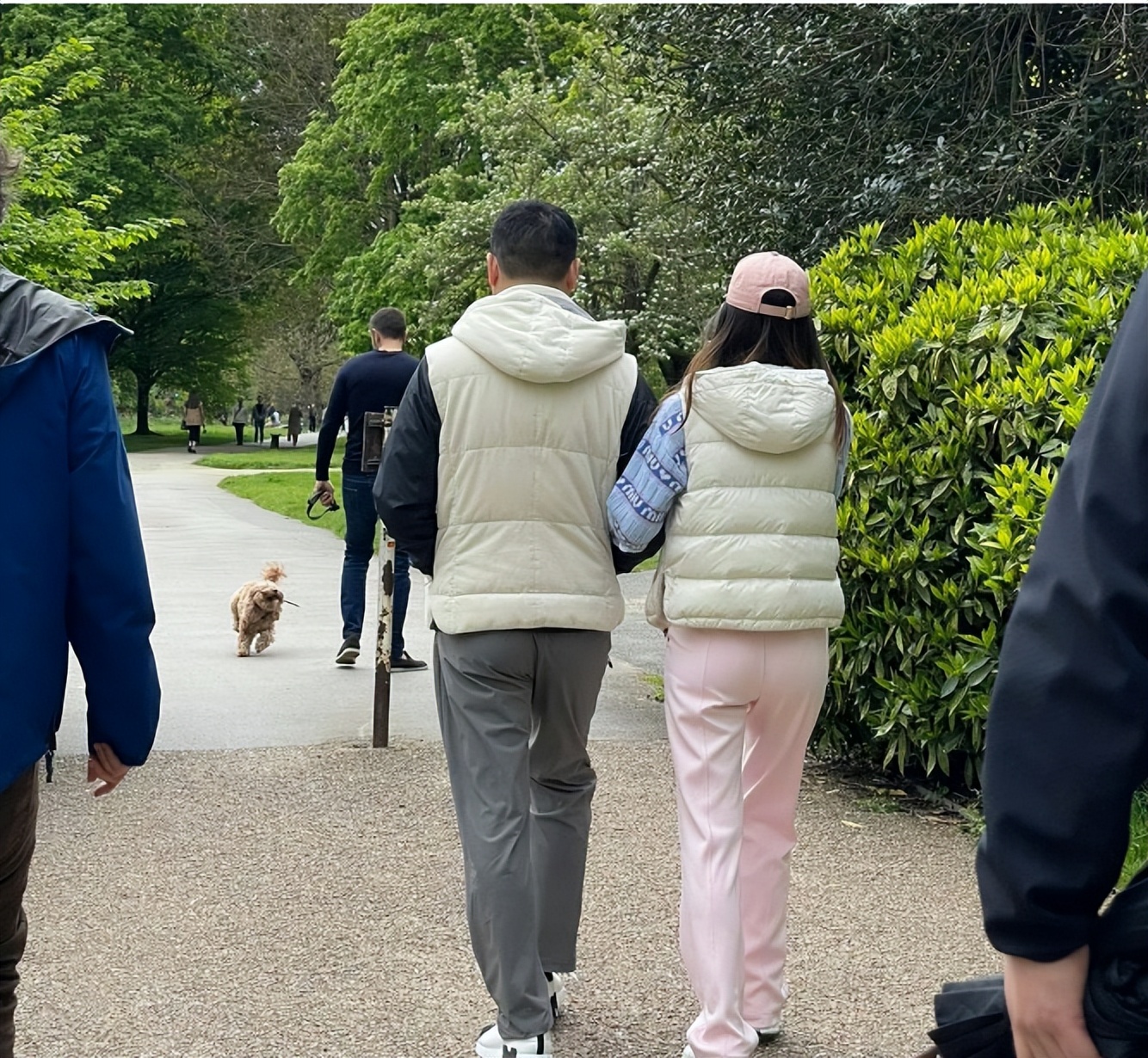 章泽天与刘强东在美国秀恩爱照,刘强东章泽天英国参加婚礼照片