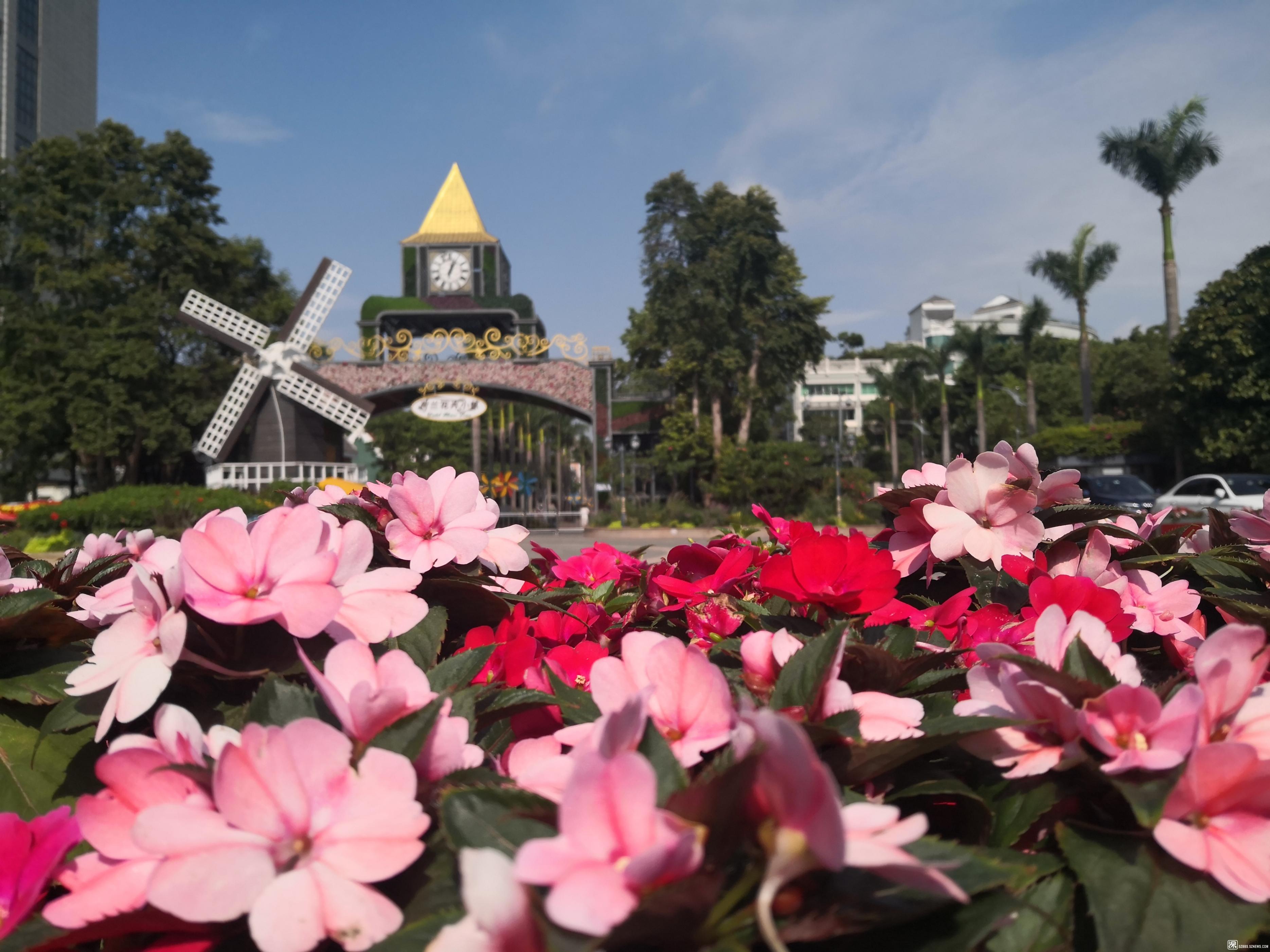 深圳的旅游景点哪些地方最好玩,深圳出发五一旅游景点推荐带孩子