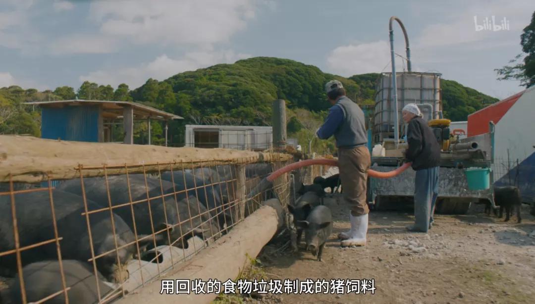 满分推荐！这部颠覆三观的良心之作，绝不该只有300人看过