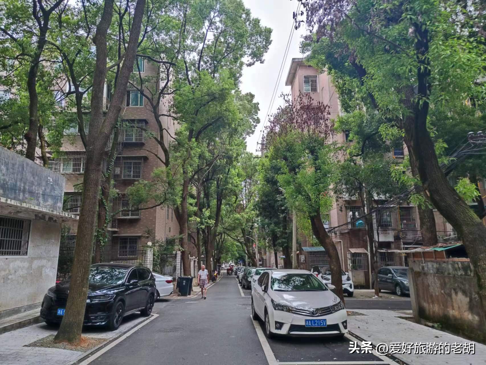 搬到长沙后破产的国企，职工家属区宛如小镇，环境依旧令人羡慕