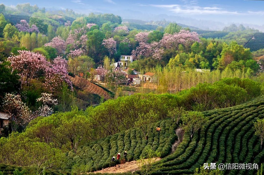 十一假期旅游推荐信阳市,十一假期信阳免费景点