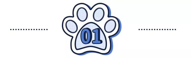 哪种猫招财好养活,哪种猫最招财又好养