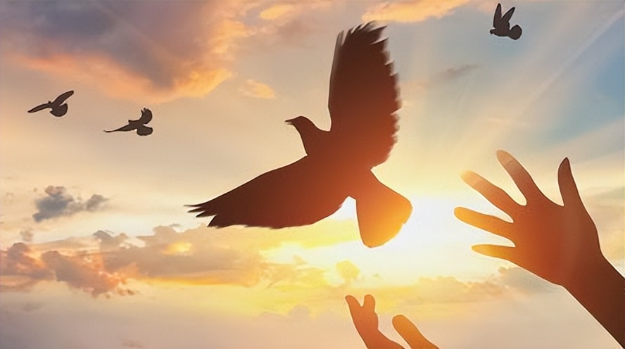 冷门行业也能轻松月入过万,别怕丢人