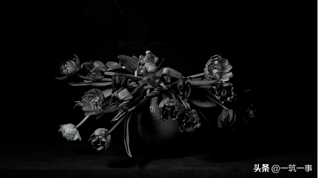 以十一位艺术家的镜头为眼重新“想像荷兰”