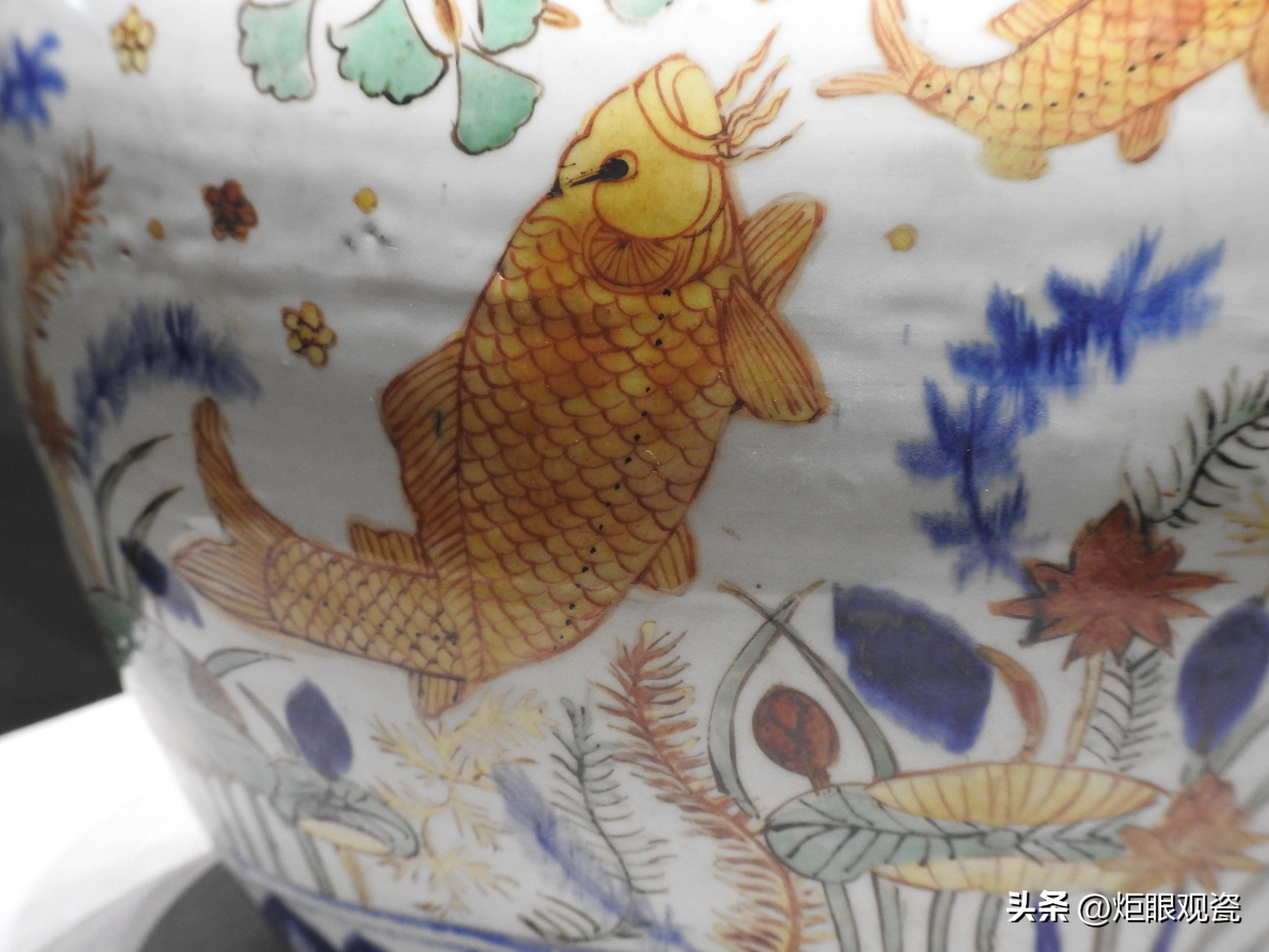 鱼乐其中——细观嘉靖五彩鱼藻纹罐的黄上红、翡翠绿、回石青