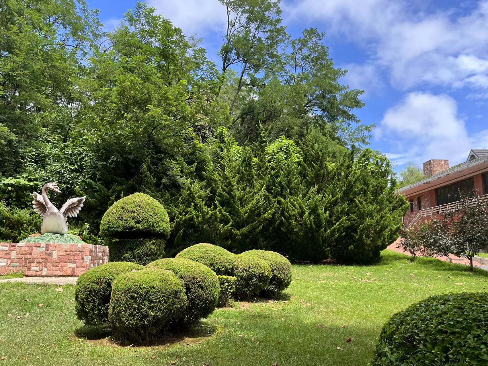 大连旅游全攻略大连北,大连旅行攻略详解最新消息