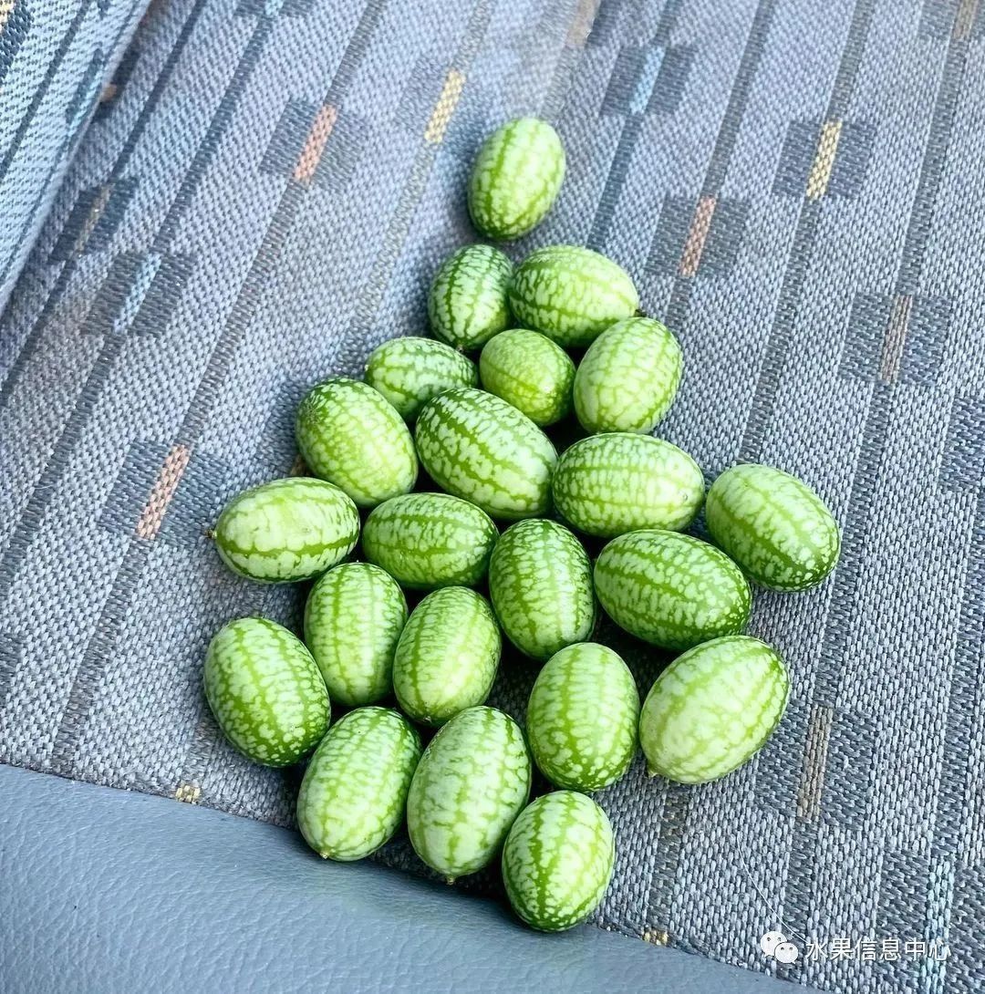 盘点那些迷你的东西,盘点不同样子的水果