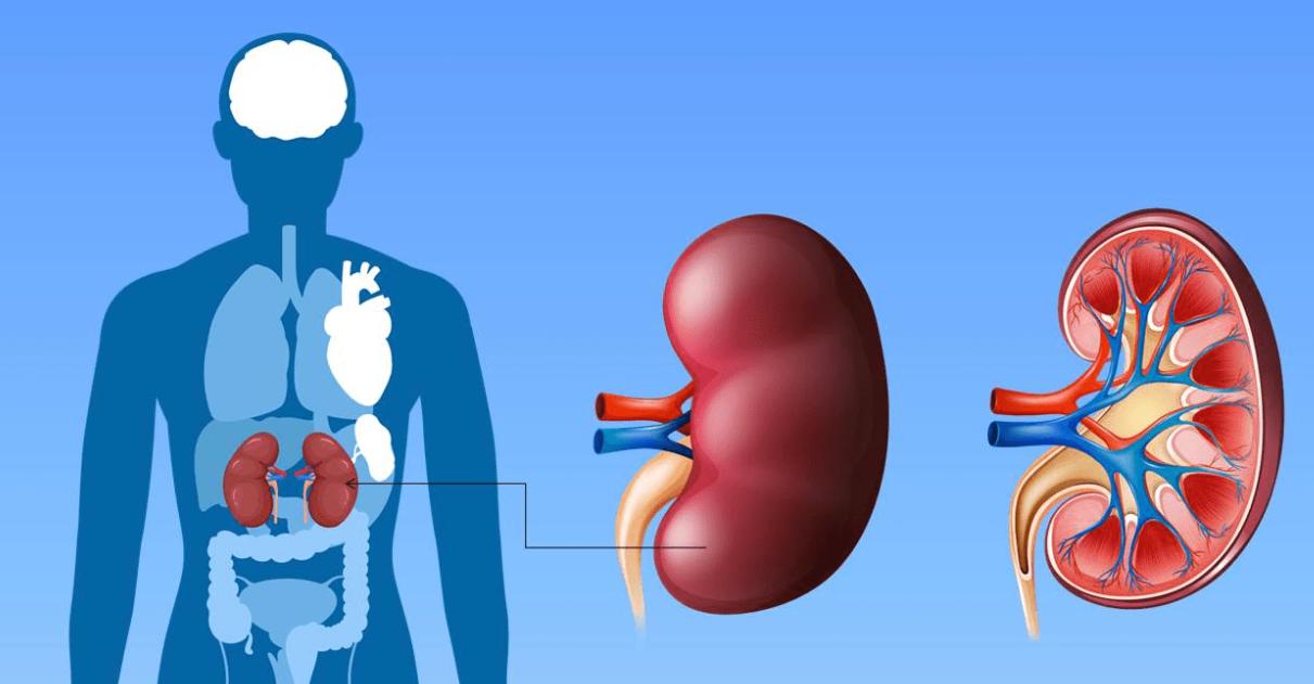 肥胖脖子很黑是不是因为肥胖引起,肥胖人群脖子发黑