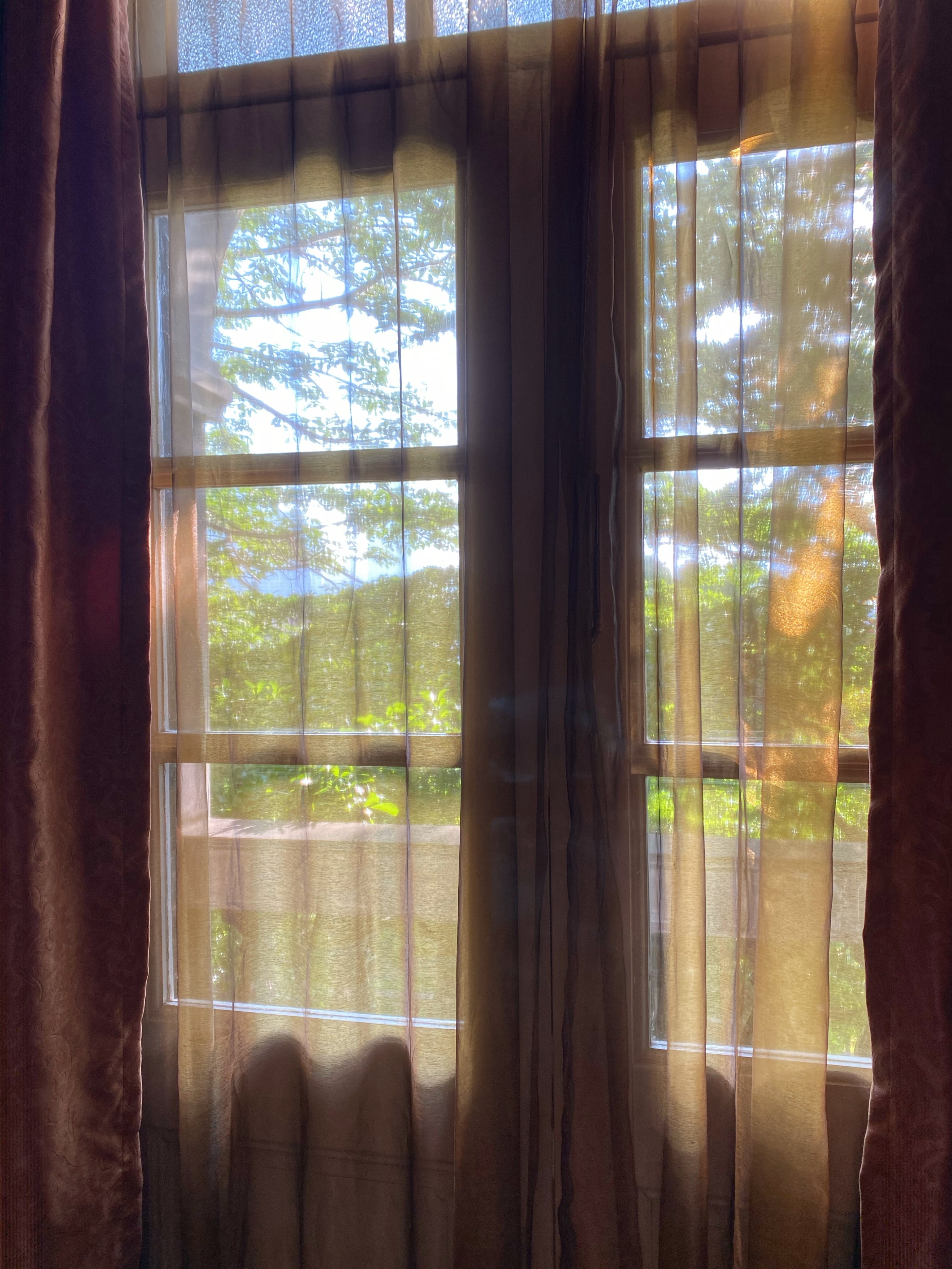 鼓浪屿民宿好不好做,住鼓浪屿民宿什么体验