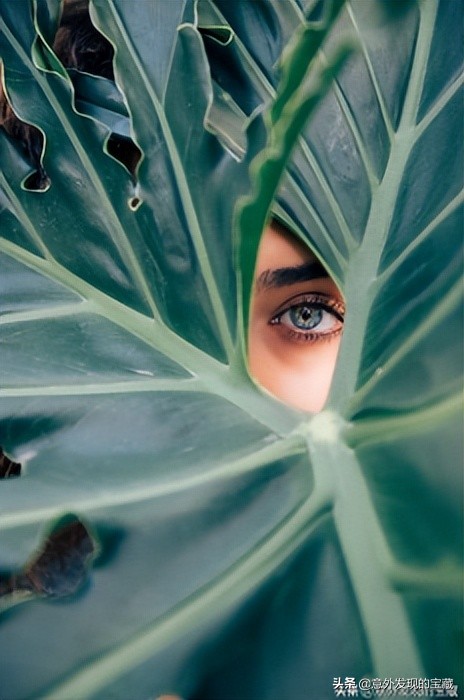 清纯小鹿眼美瞳 (清纯鹿眼美瞳)