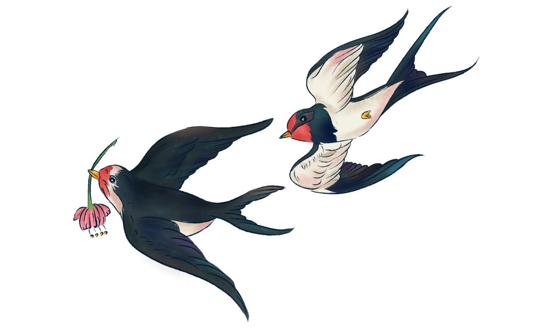 燕窝如何进口国外产品,进口燕窝需要办理什么手续