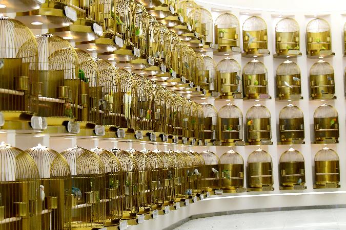 武商梦时代全球第一,武商最大商业体