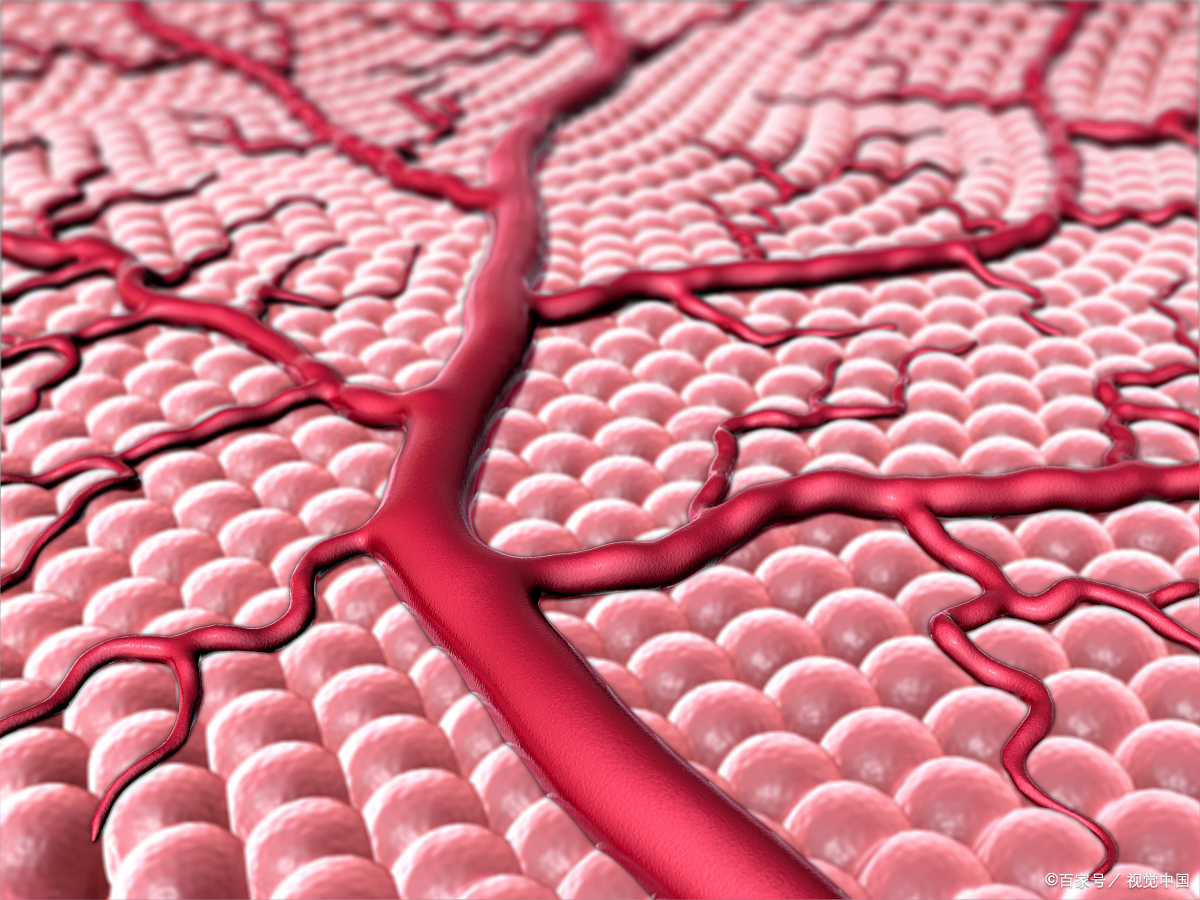 脂蛋白偏高对身体有什么危害,脂蛋白高有什么危害