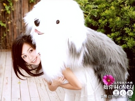 王心凌你一票我一票押韵句子,40岁的王心凌还能又唱又跳