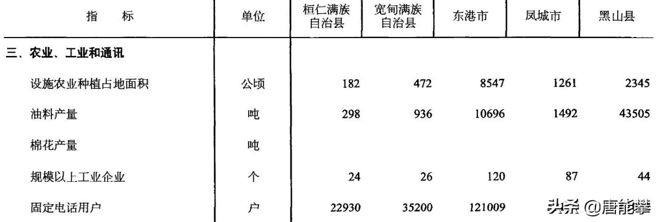 桓仁五里甸子黑山,黑山县姜屯镇现状