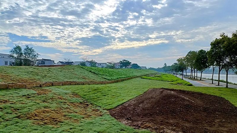 淮阳荷花节什么时间最好看,淮阳看荷花节开幕