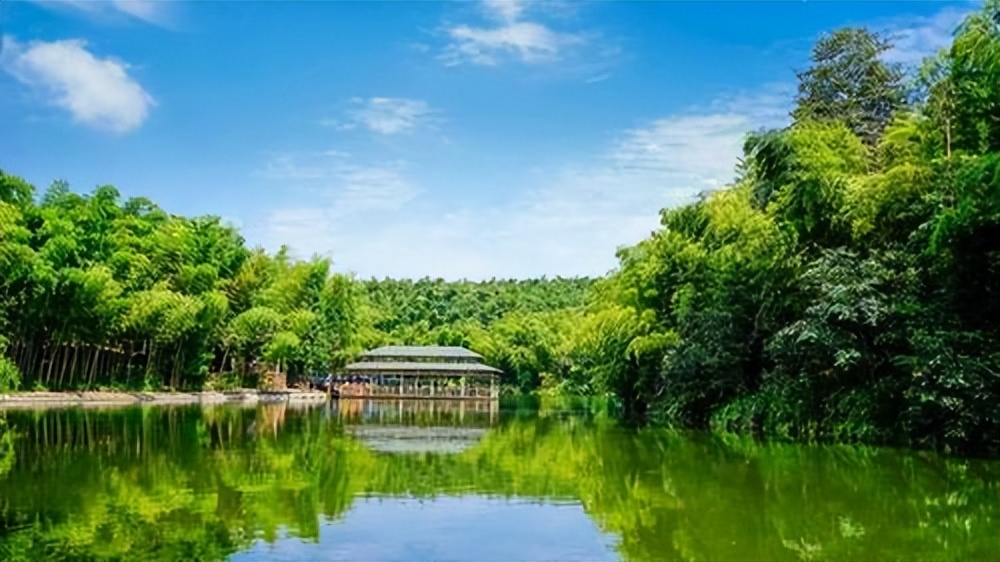 卧虎藏龙蜀南竹海取景地片段,蜀南竹海卧虎藏龙拍摄地放的音乐