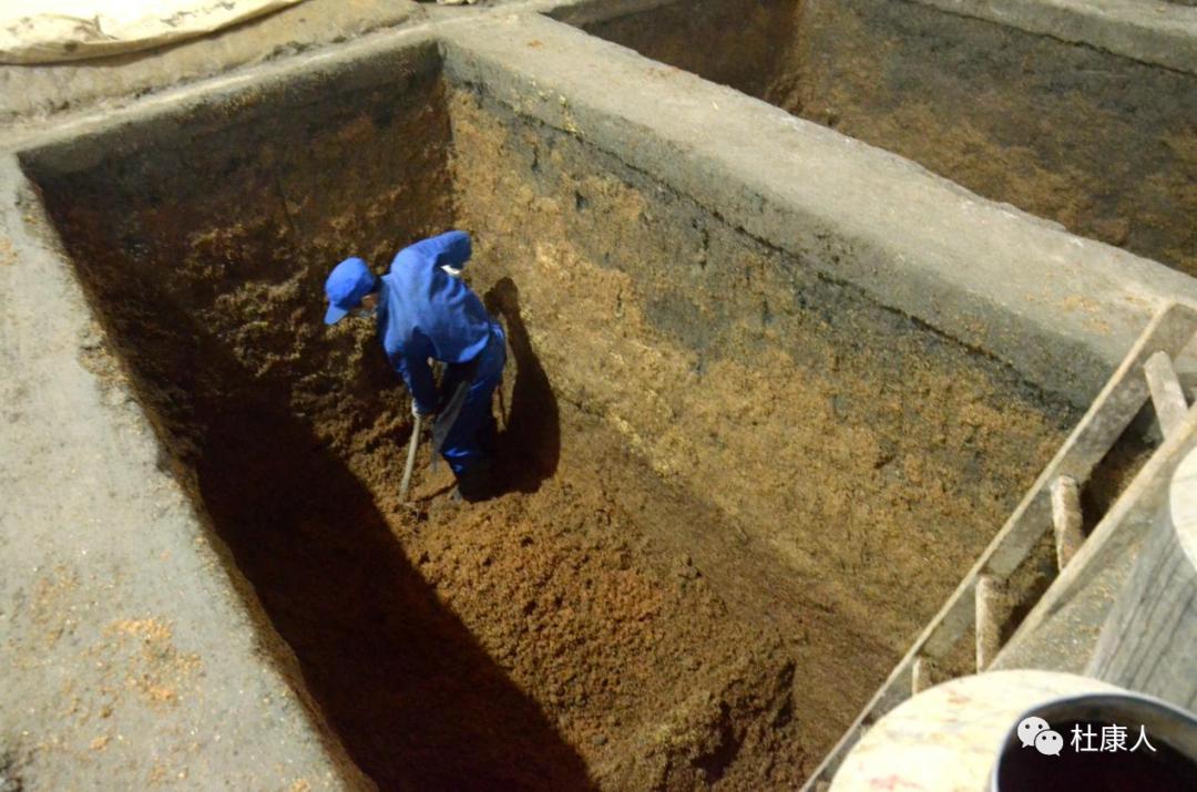 杜康酒厂车间参观,杜康酒厂参观纪念酒品鉴视频