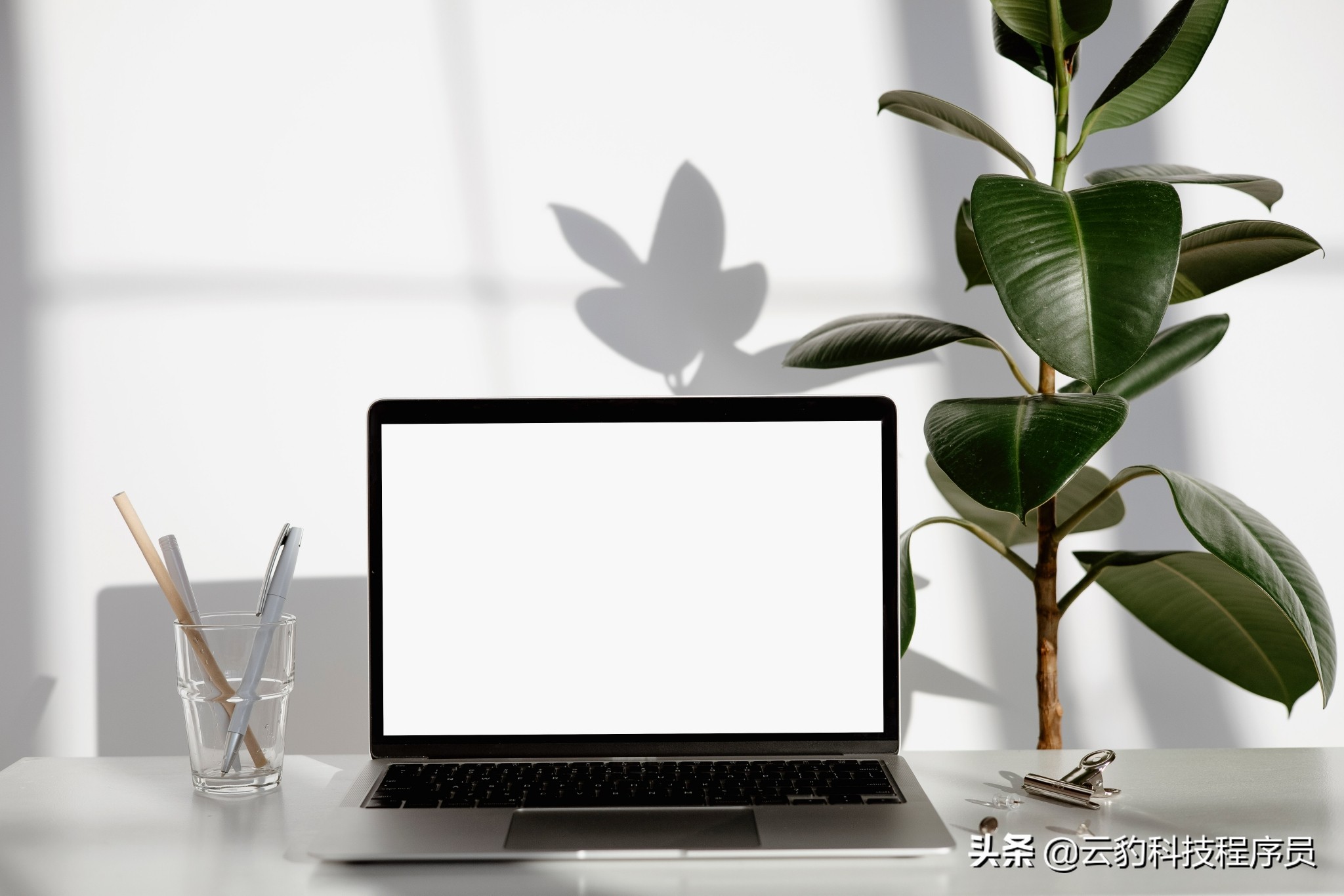 婚恋系统源码撞上高并发场景,婚恋平台风控系统架构