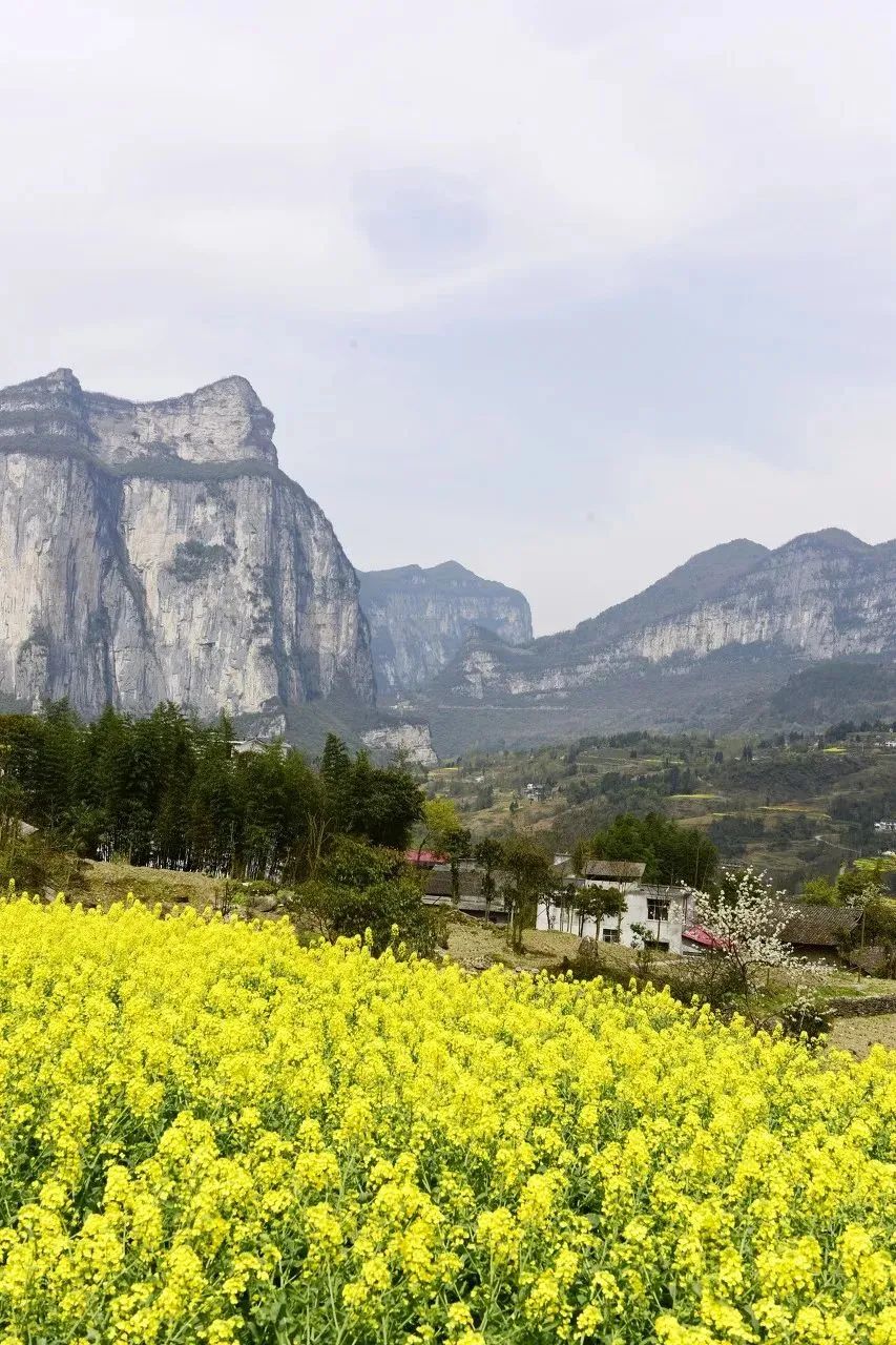 湖北恩施夏季热吗,湖北恩施人间仙境图片