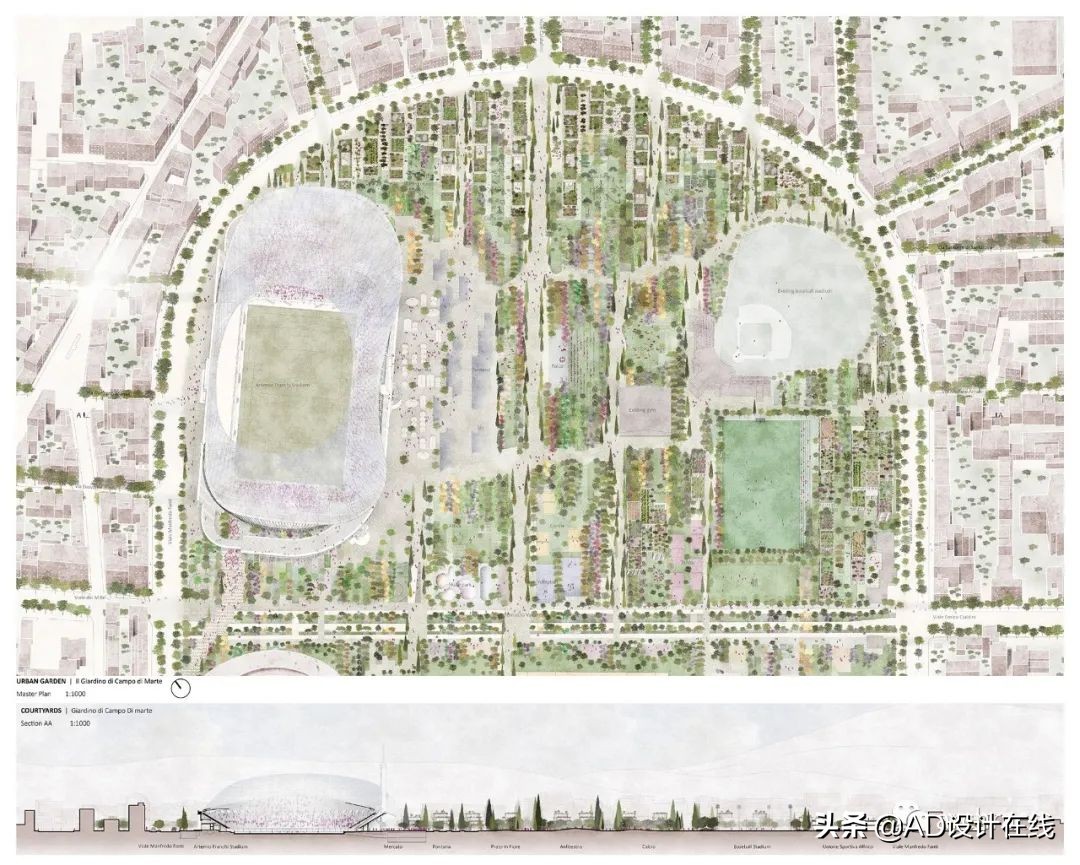 弗兰基球场改建,佛罗伦萨弗兰基球场