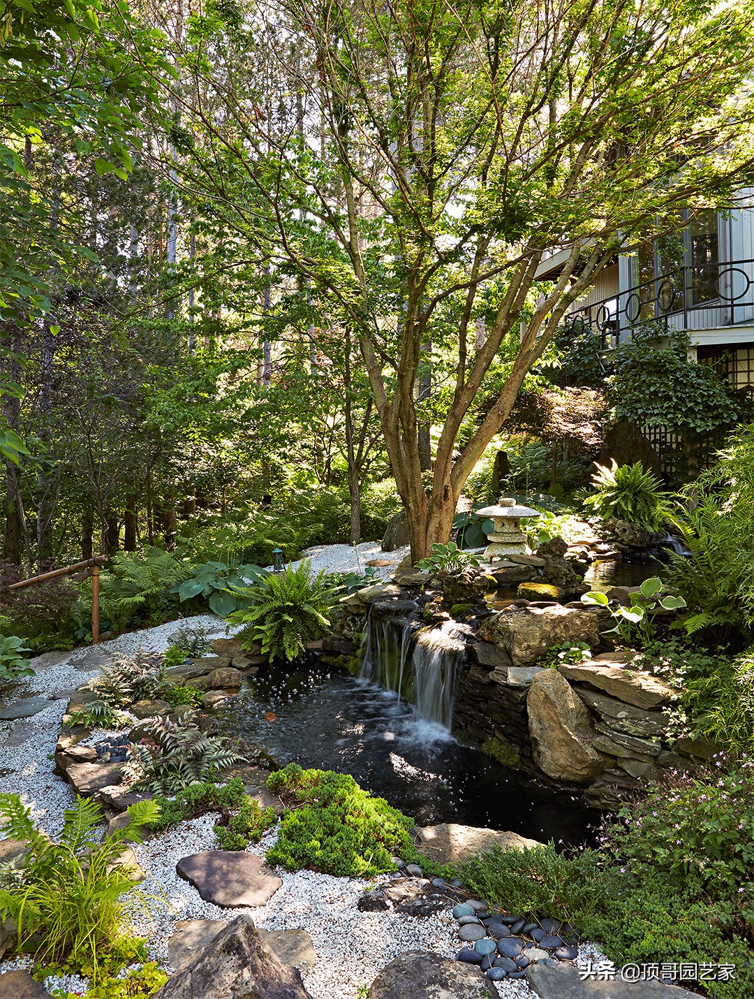 庭院中种什么树最好,庭院栽什么树最旺宅