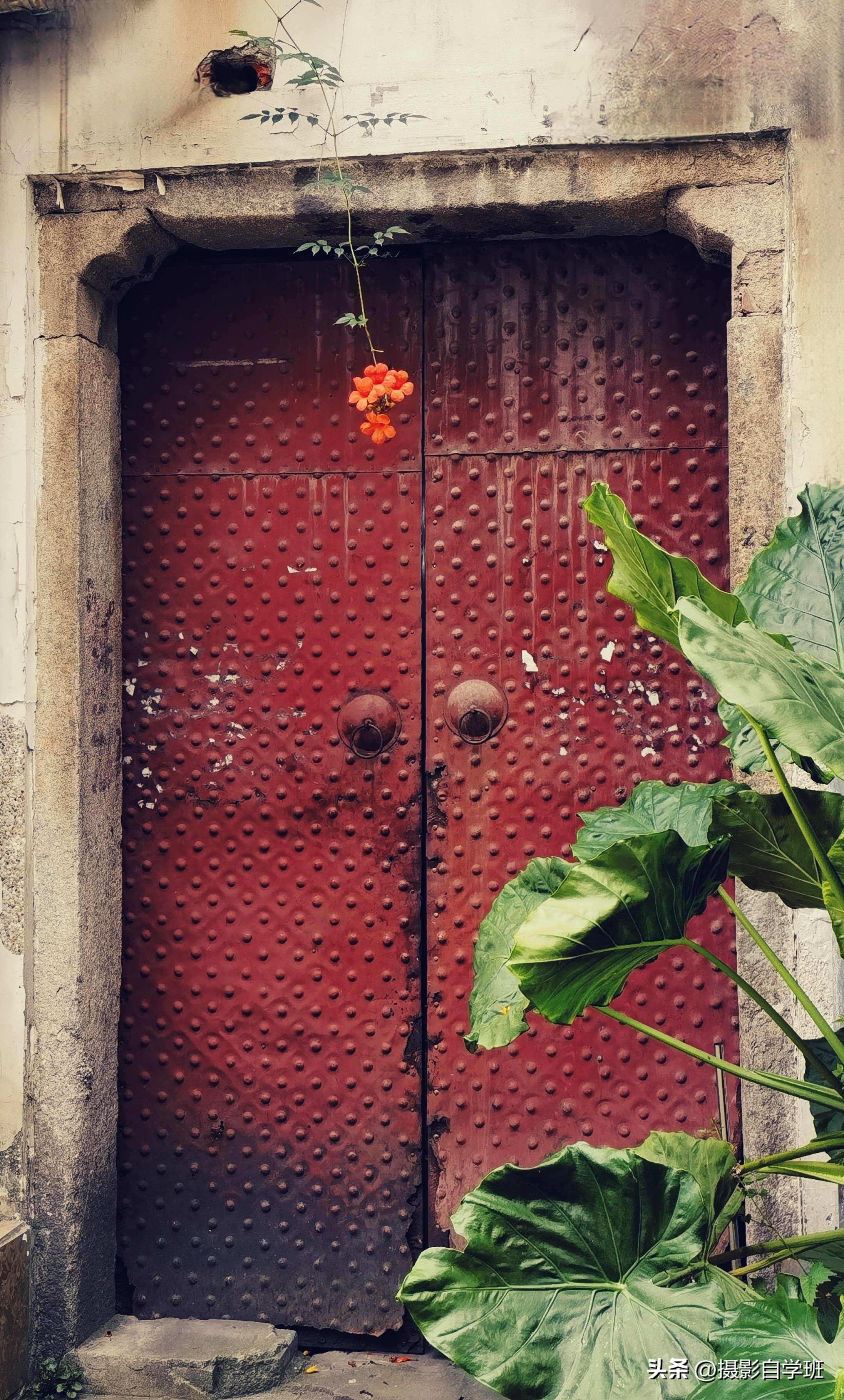 第二十一届摄影作品征稿,摄友投稿图片