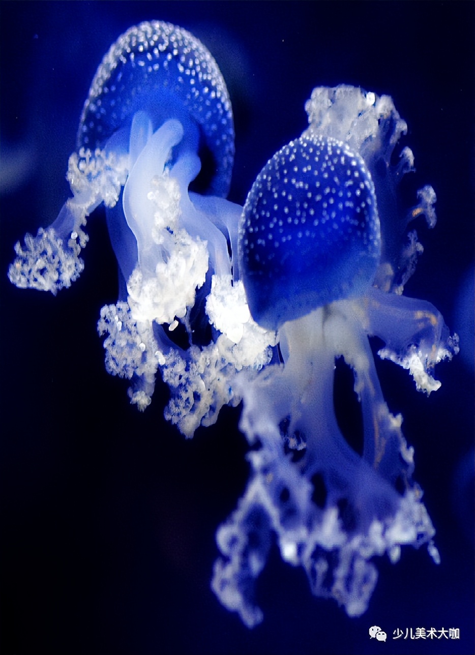 创意美术简单易学,创意美术幼儿