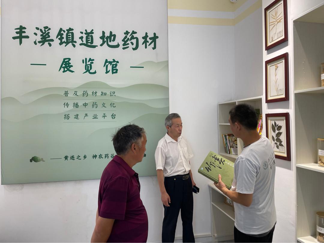 问药武当中药产业规划调研