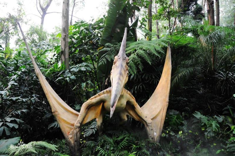 番禺长隆野生动物酒店住宿攻略,长隆野生动物世界金蛇秘境视频