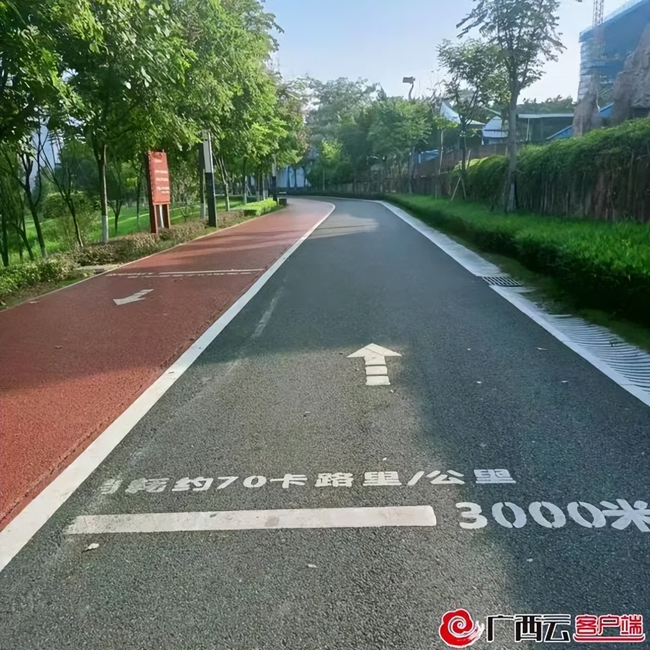 全市体育工作成绩,全市体育工作进展